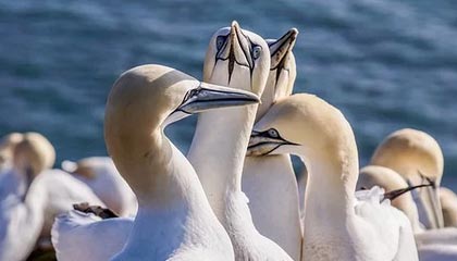 半岛体育-华体会体育：把运动变成日常的生活艺术