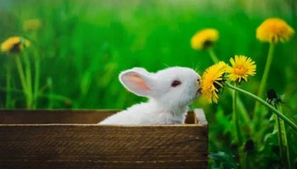 半岛体育-华体会体育：把运动变成日常的生活艺术